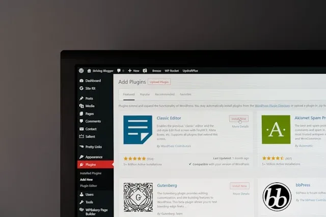 Announcing WordPress Management Services | Haketi Announcing WordPress Management Services